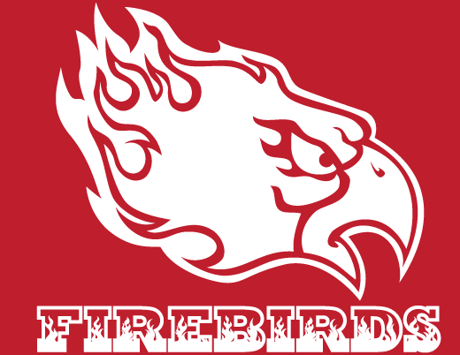 Another version of the Firebords Logo